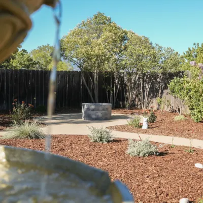 Landscape Design & Build